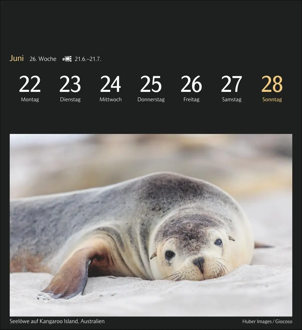 Bild: 9783840037542 | Die Welt in Farben Postkartenkalender 2026 - Kalender mit 53...