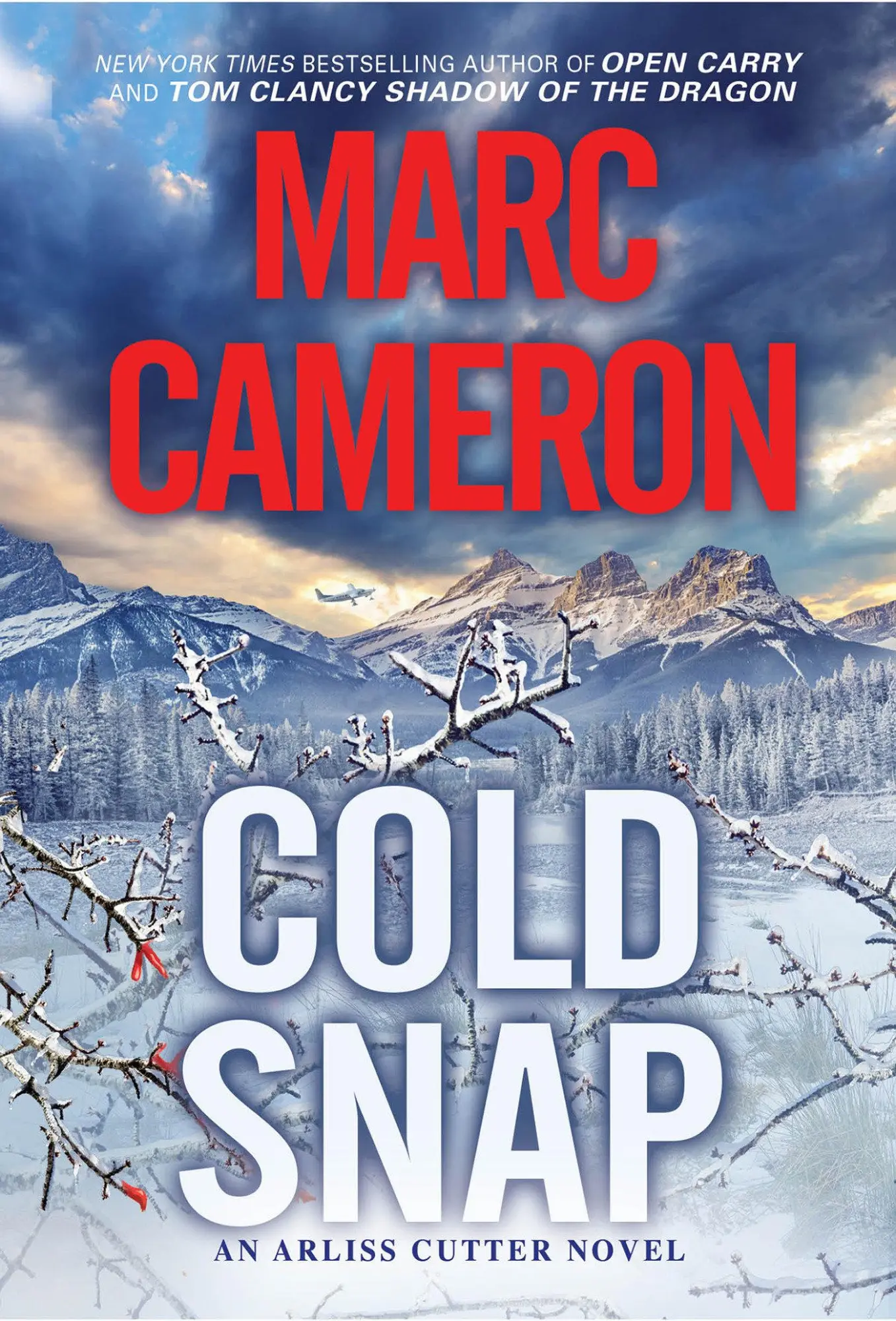 Cover: 9780786047642 | Cold Snap | An Action Packed Novel of Suspense | Marc Cameron | Buch