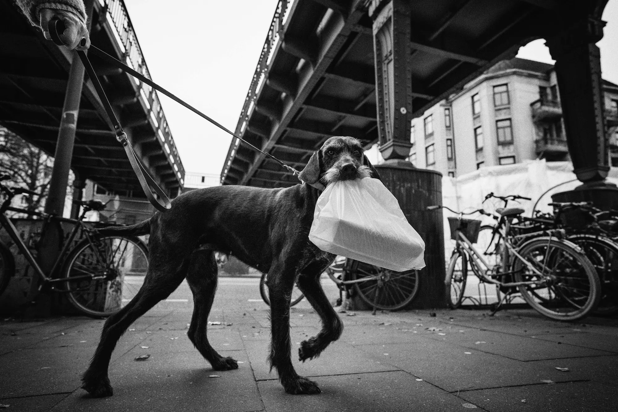 Bild: 9783866487642 | Hamburg | Nikolaus Gelpke | Buch | 204 S. | Deutsch | 2025