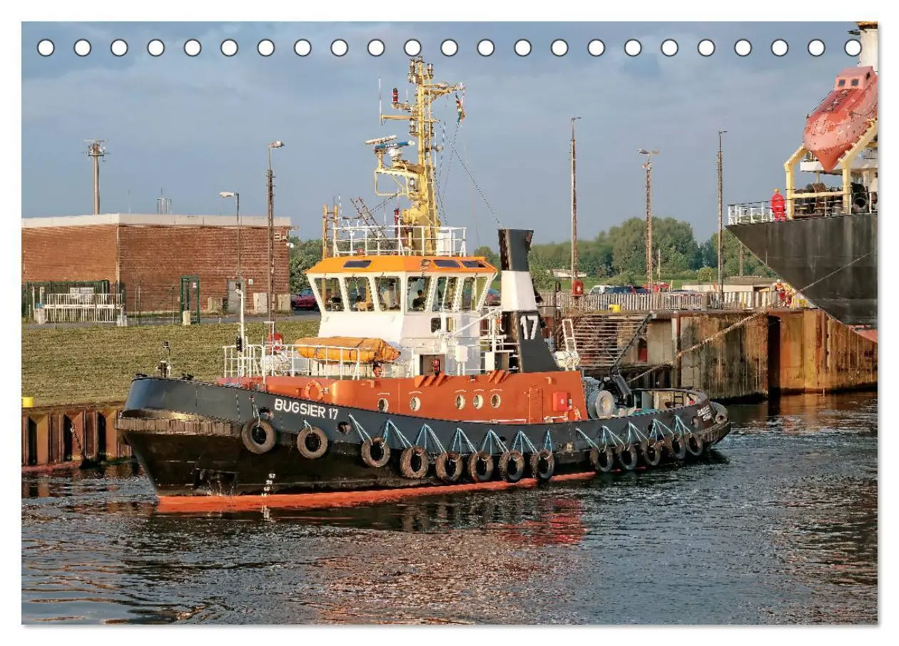 Bild: 9783435277742 | Schlepper - bärenstarke Arbeitstiere (Tischkalender 2025 DIN A5...