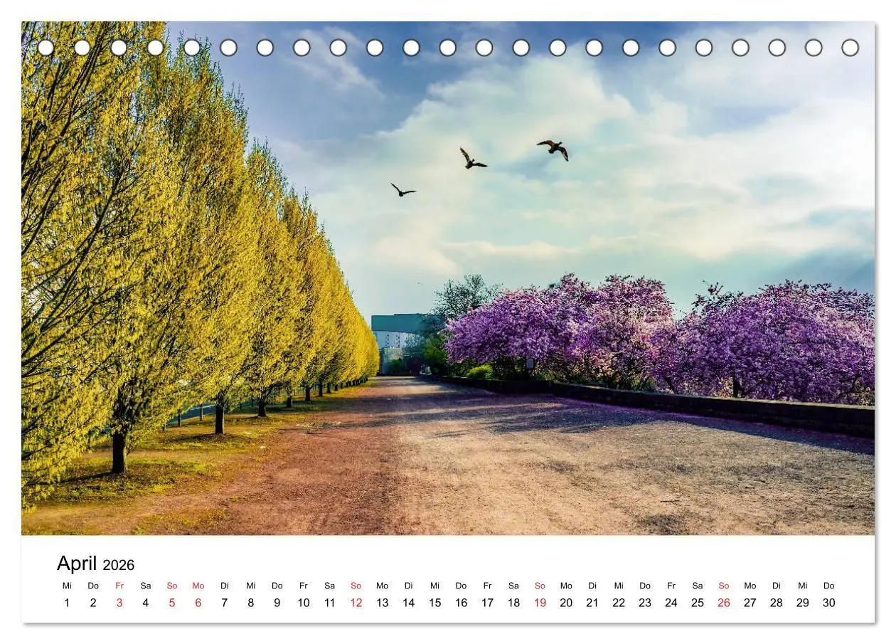Bild: 9783457737842 | Kassel - Morgenlicht (Tischkalender 2026 DIN A5 quer), CALVENDO...
