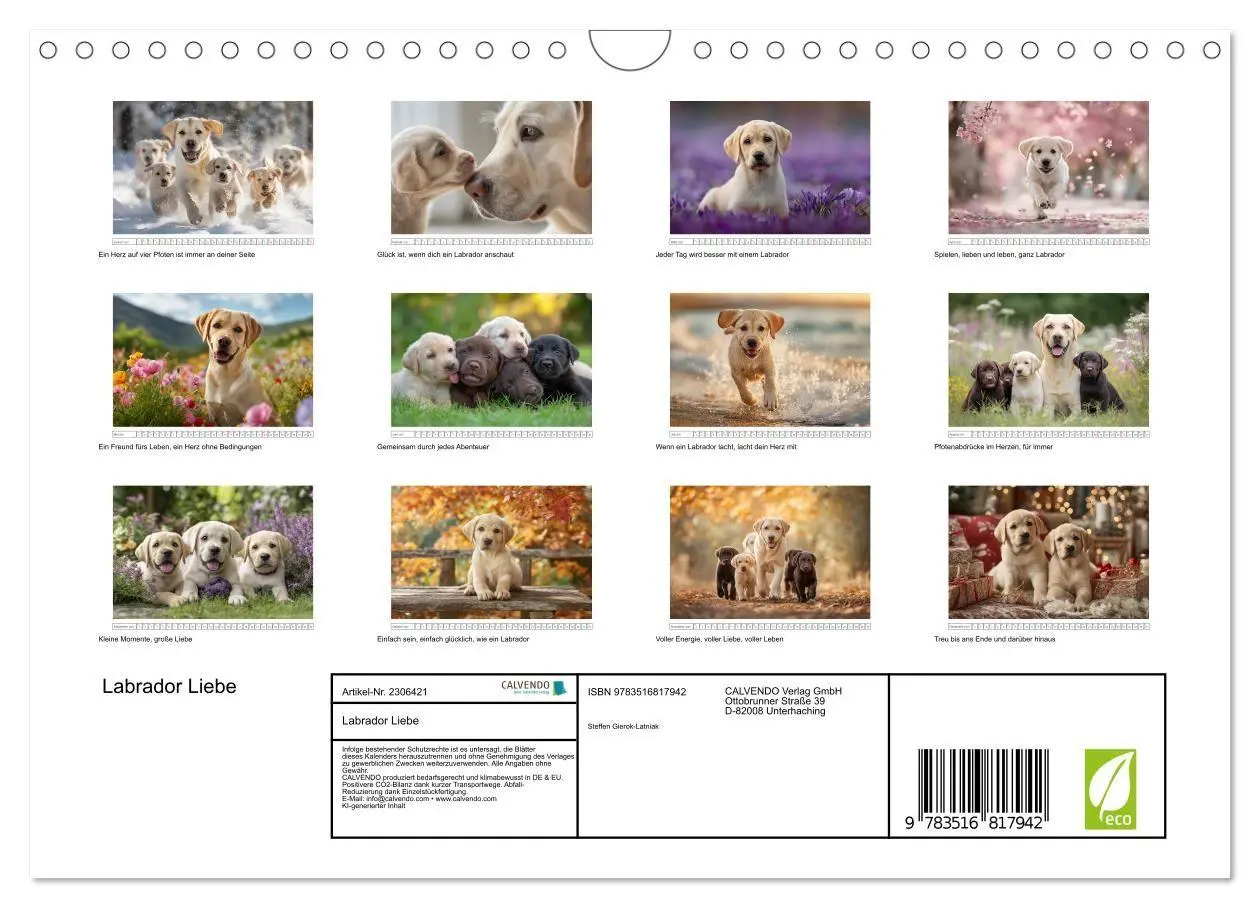 Bild: 9783516817942 | Labrador Liebe (Wandkalender 2027 DIN A4 quer), CALVENDO...