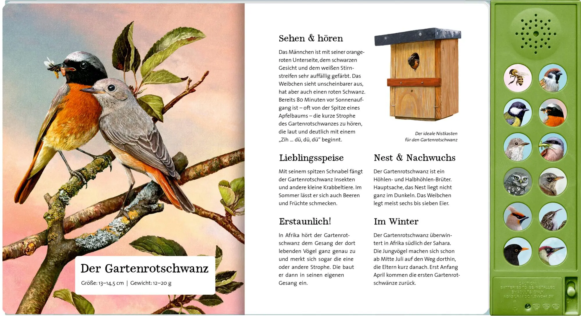 Bild: 9783649647942 | Was singt und summt im Apfelbaum? | Mit 12 echten Tierstimmen | Haag