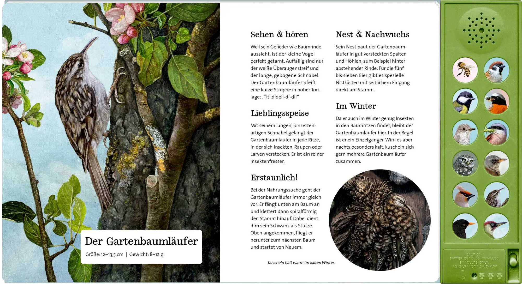 Bild: 9783649647942 | Was singt und summt im Apfelbaum? | Mit 12 echten Tierstimmen | Haag
