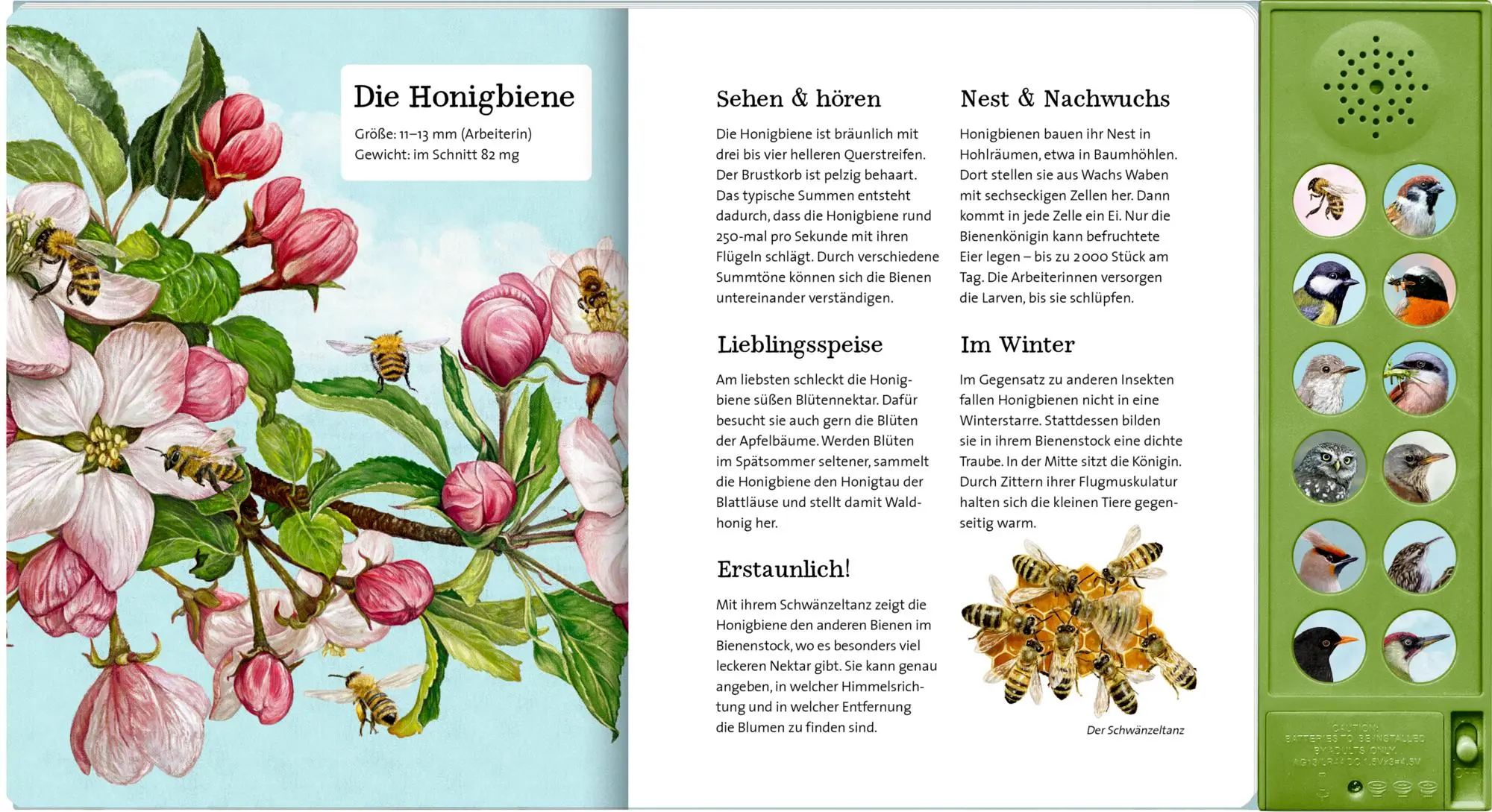 Bild: 9783649647942 | Was singt und summt im Apfelbaum? | Mit 12 echten Tierstimmen | Haag