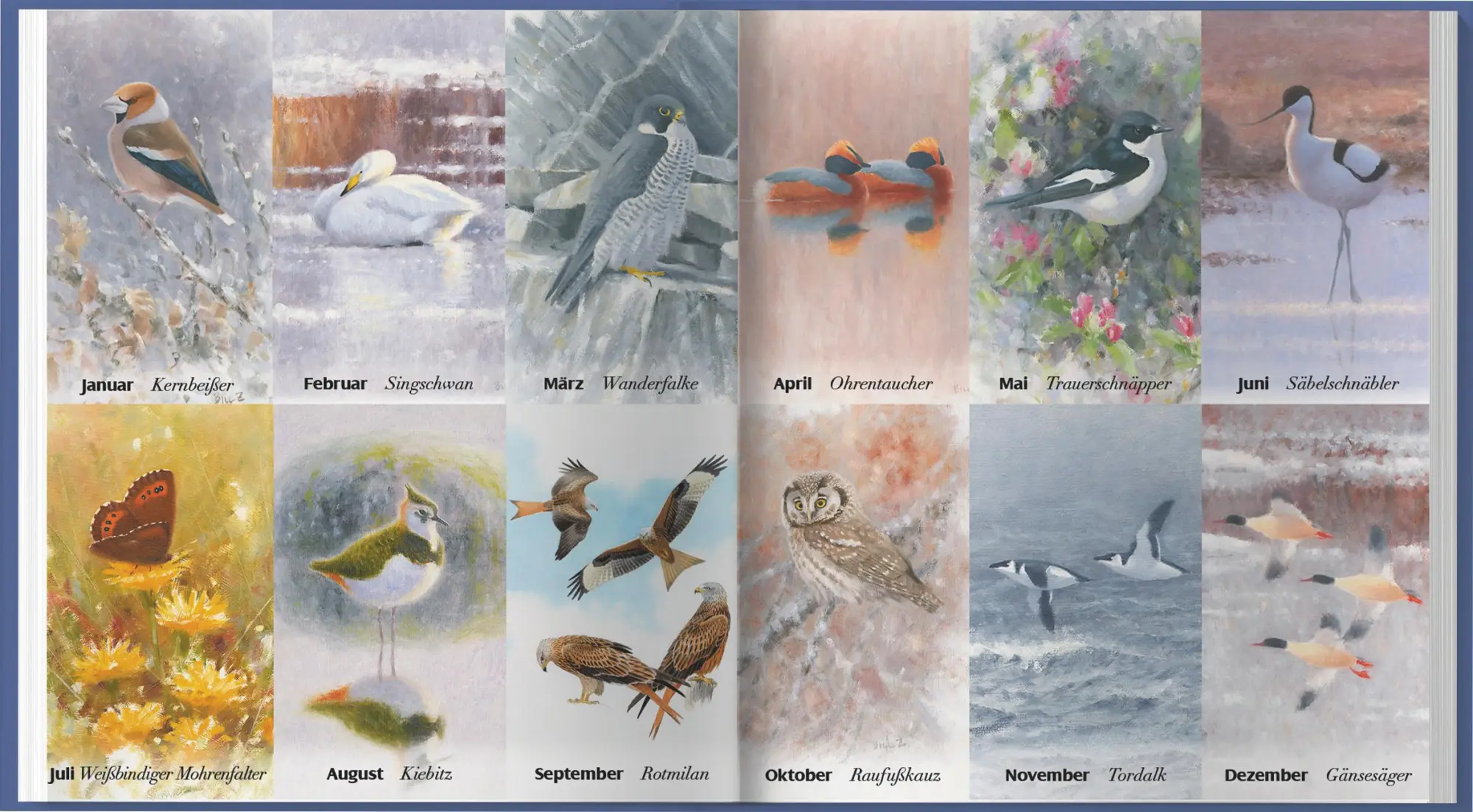 Bild: 9783784357942 | Der illustrierte Vogelkalender 2026 | Niklas Aronsson | Kalender