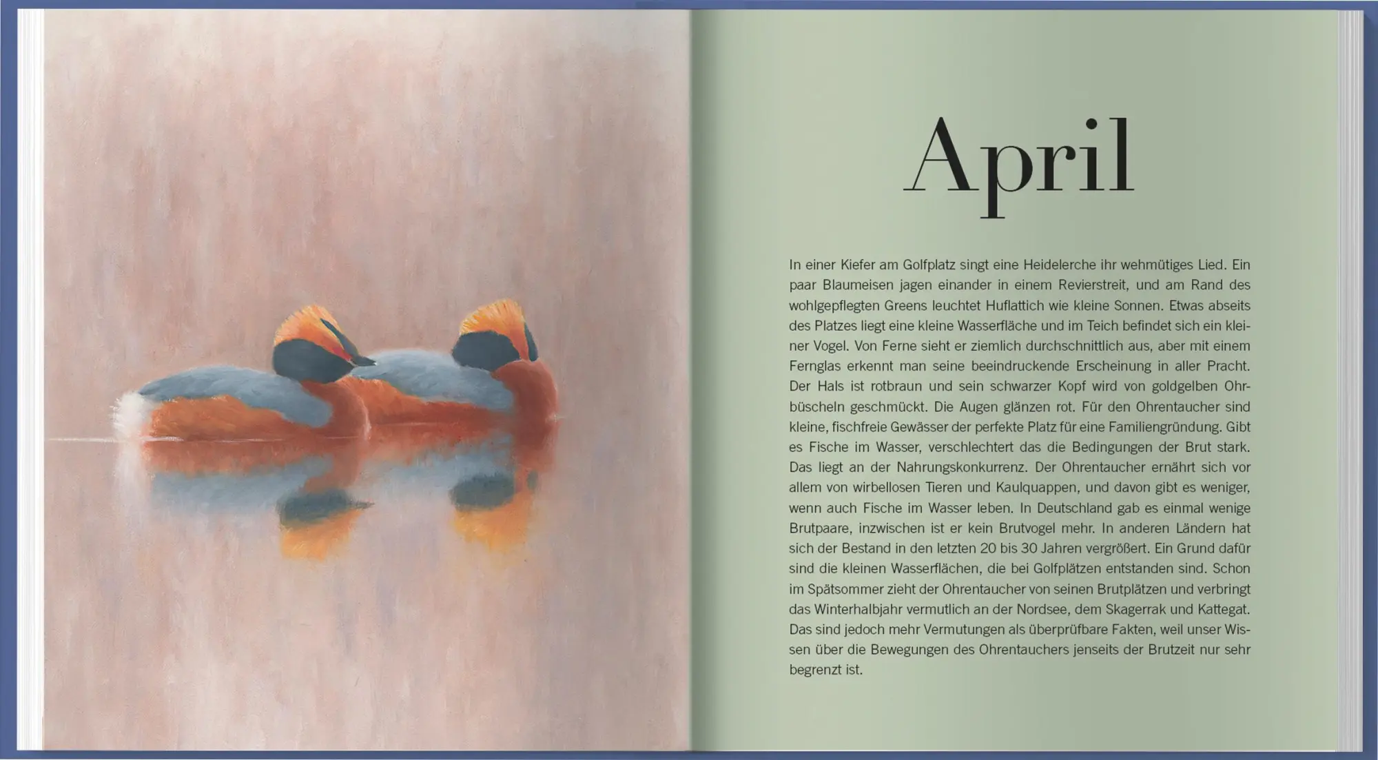 Bild: 9783784357942 | Der illustrierte Vogelkalender 2026 | Niklas Aronsson | Kalender