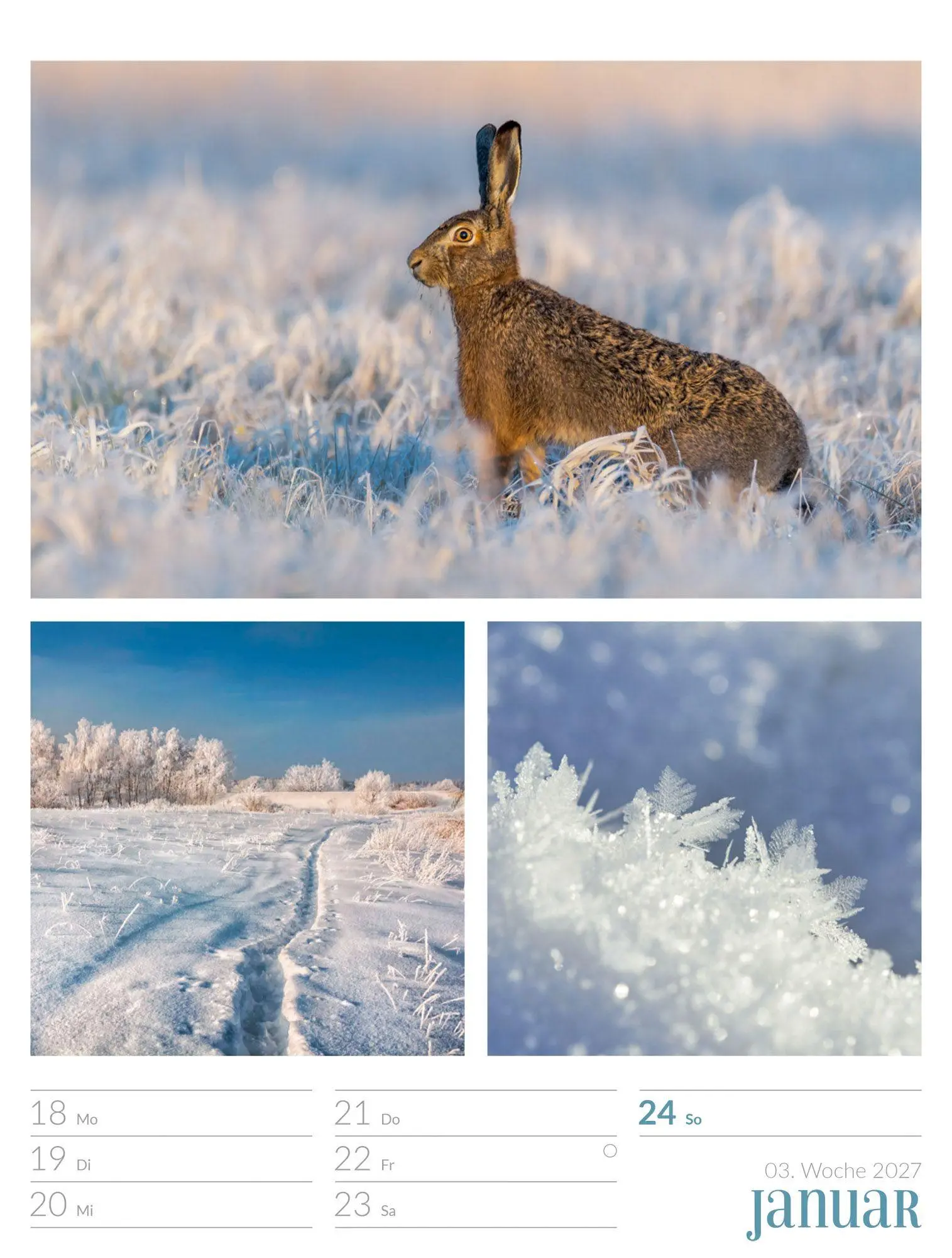 Bild: 9783838427942 | Farben der Natur Wochenplaner Kalender 2027 | GmbH | Kalender | 56 S.