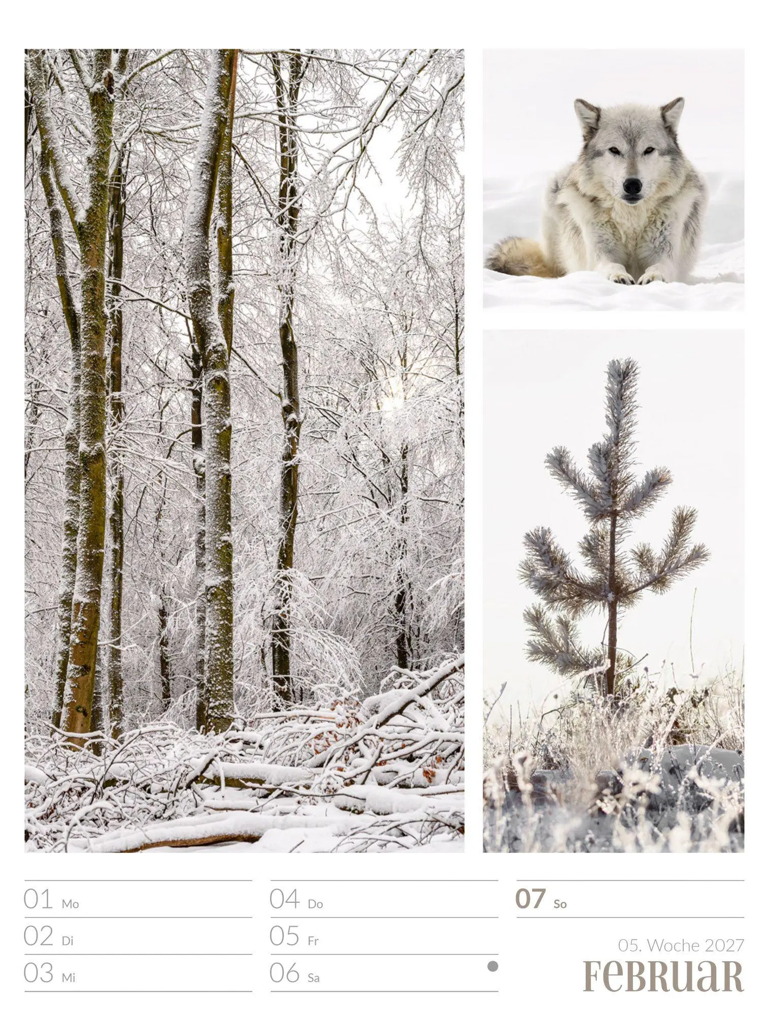 Bild: 9783838427942 | Farben der Natur Wochenplaner Kalender 2027 | GmbH | Kalender | 56 S.