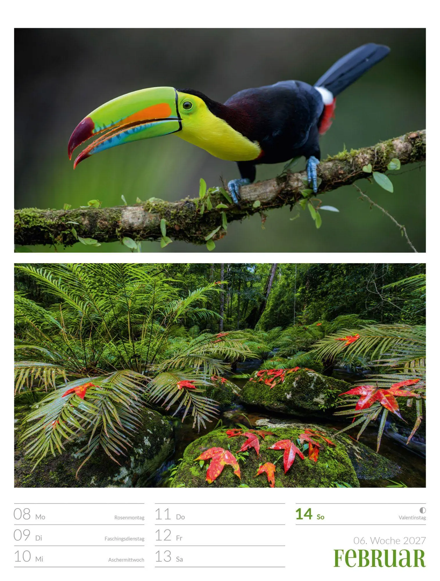 Bild: 9783838427942 | Farben der Natur Wochenplaner Kalender 2027 | GmbH | Kalender | 56 S.