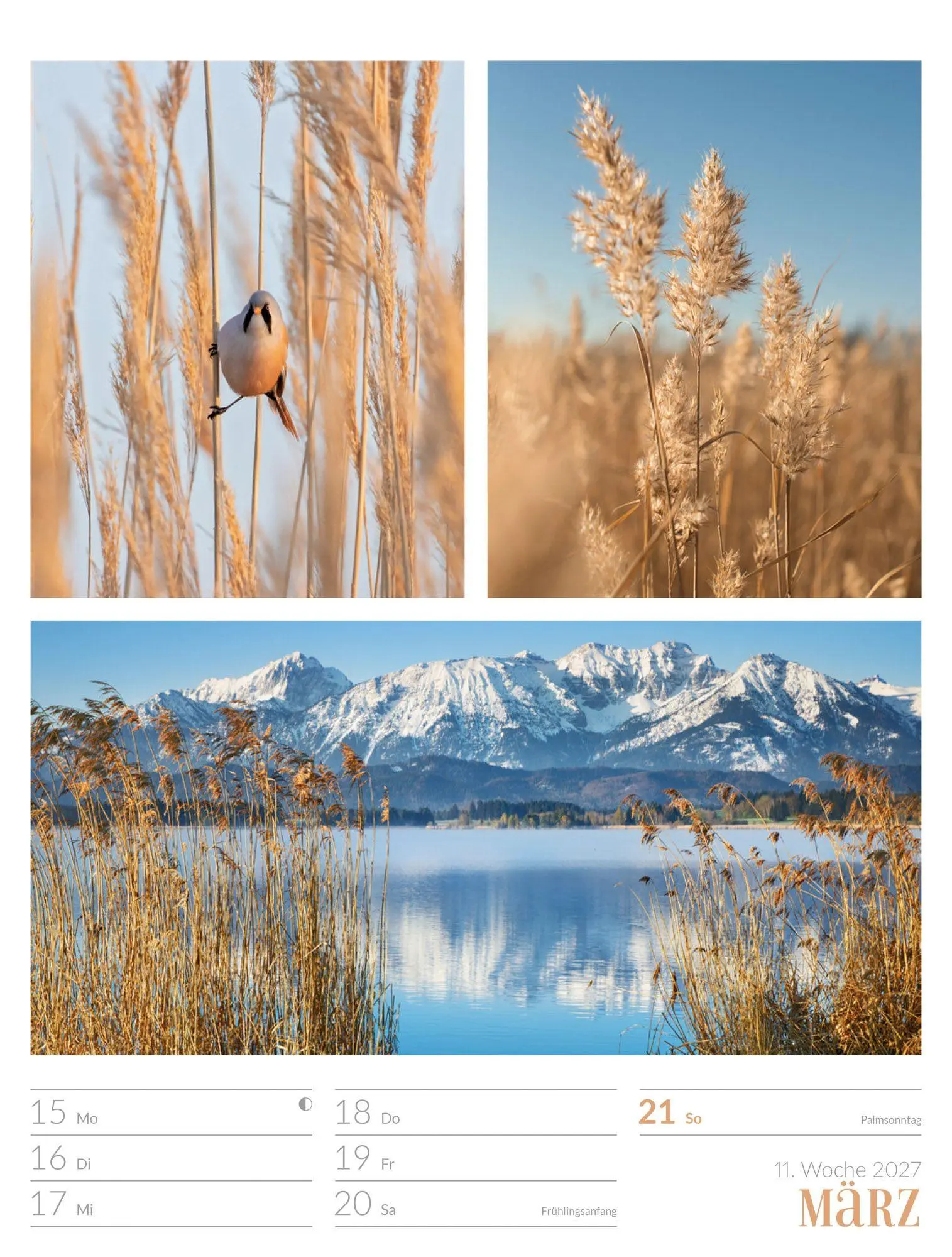 Bild: 9783838427942 | Farben der Natur Wochenplaner Kalender 2027 | GmbH | Kalender | 56 S.
