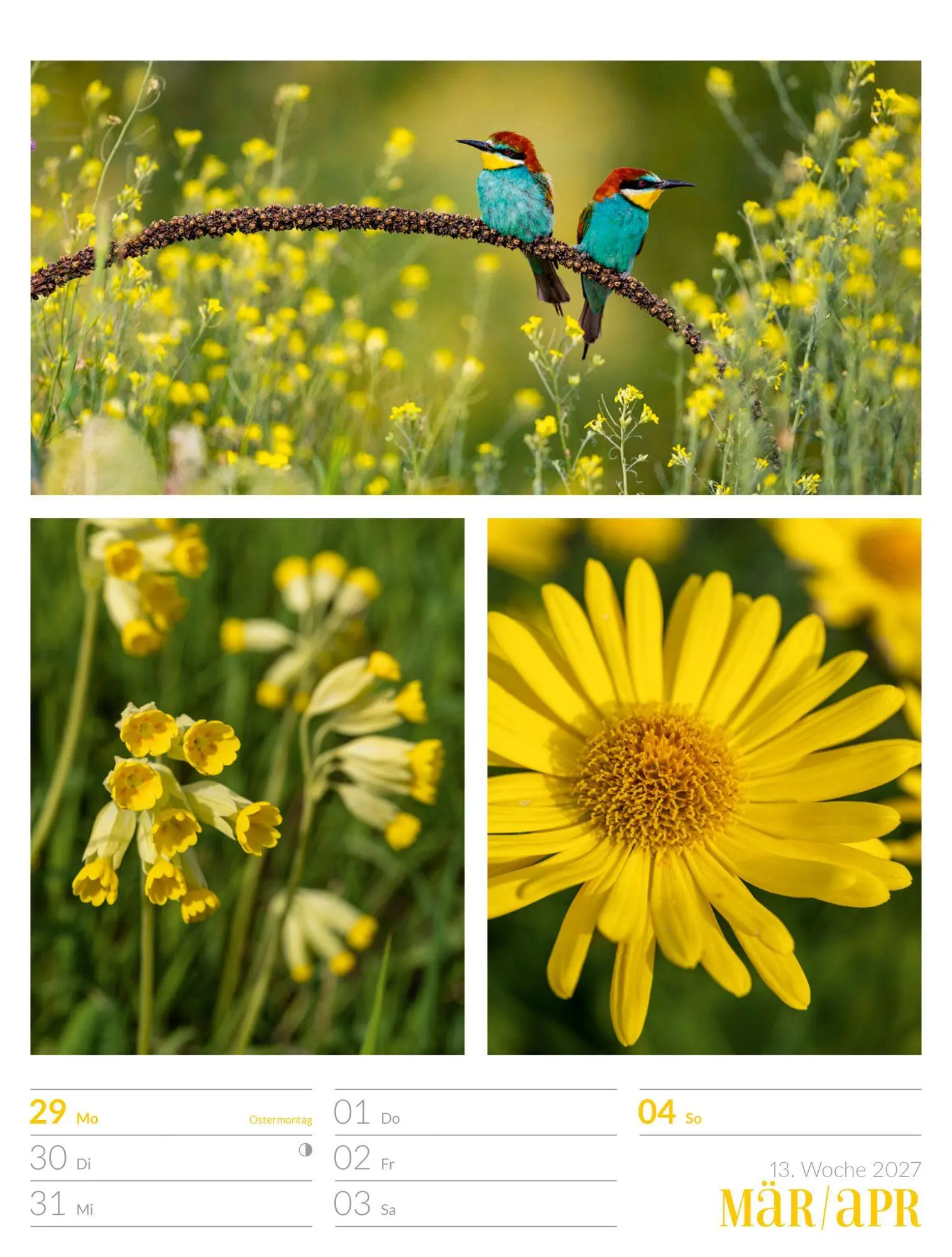 Bild: 9783838427942 | Farben der Natur Wochenplaner Kalender 2027 | GmbH | Kalender | 56 S.