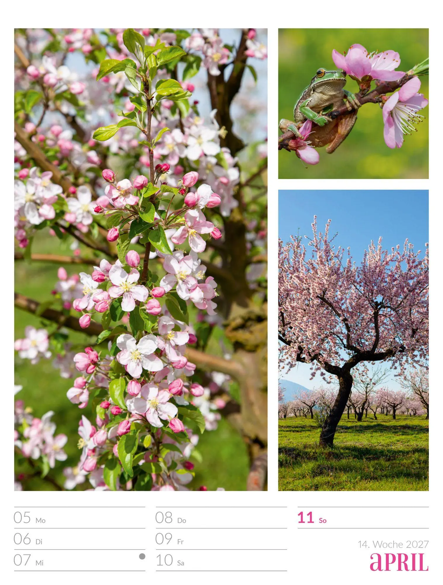 Bild: 9783838427942 | Farben der Natur Wochenplaner Kalender 2027 | GmbH | Kalender | 56 S.