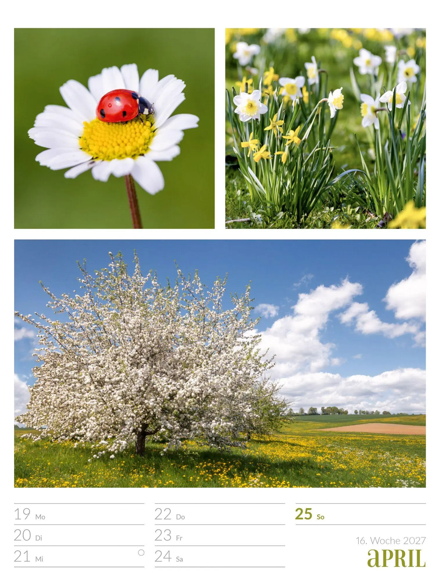 Bild: 9783838427942 | Farben der Natur Wochenplaner Kalender 2027 | GmbH | Kalender | 56 S.