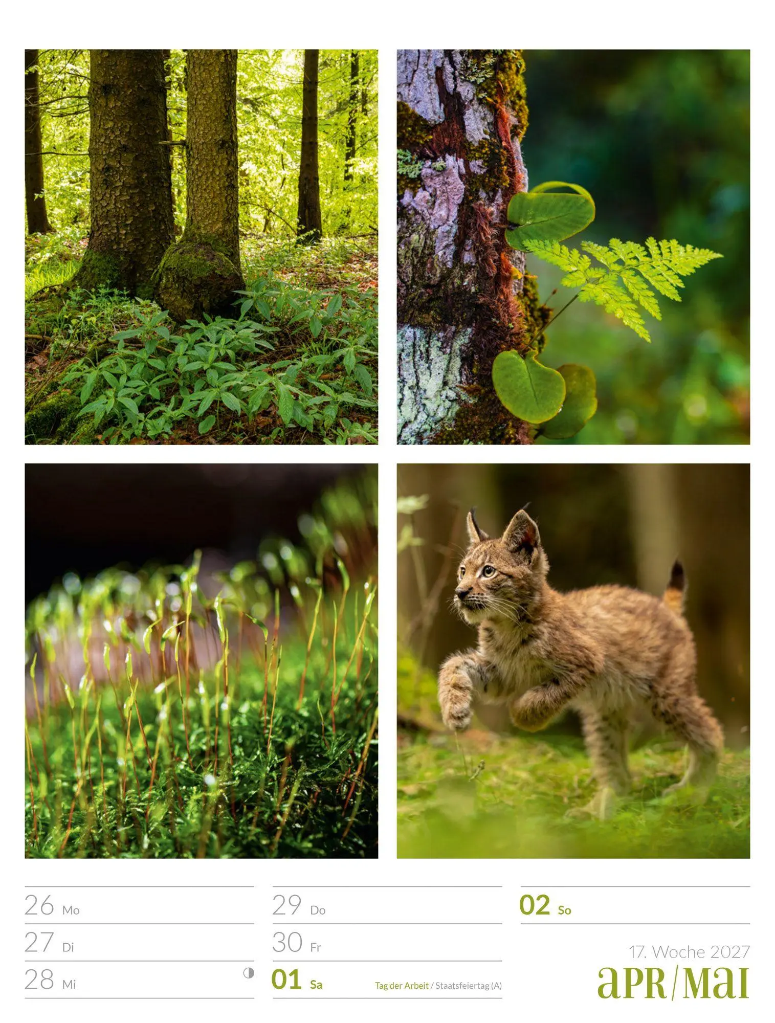 Bild: 9783838427942 | Farben der Natur Wochenplaner Kalender 2027 | GmbH | Kalender | 56 S.