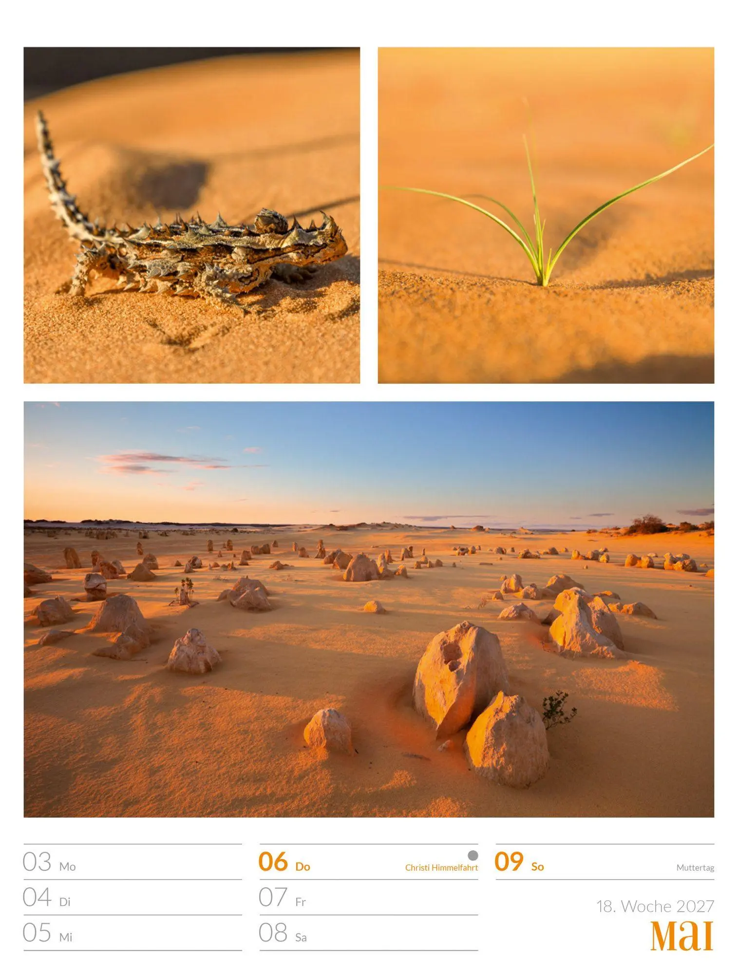 Bild: 9783838427942 | Farben der Natur Wochenplaner Kalender 2027 | GmbH | Kalender | 56 S.