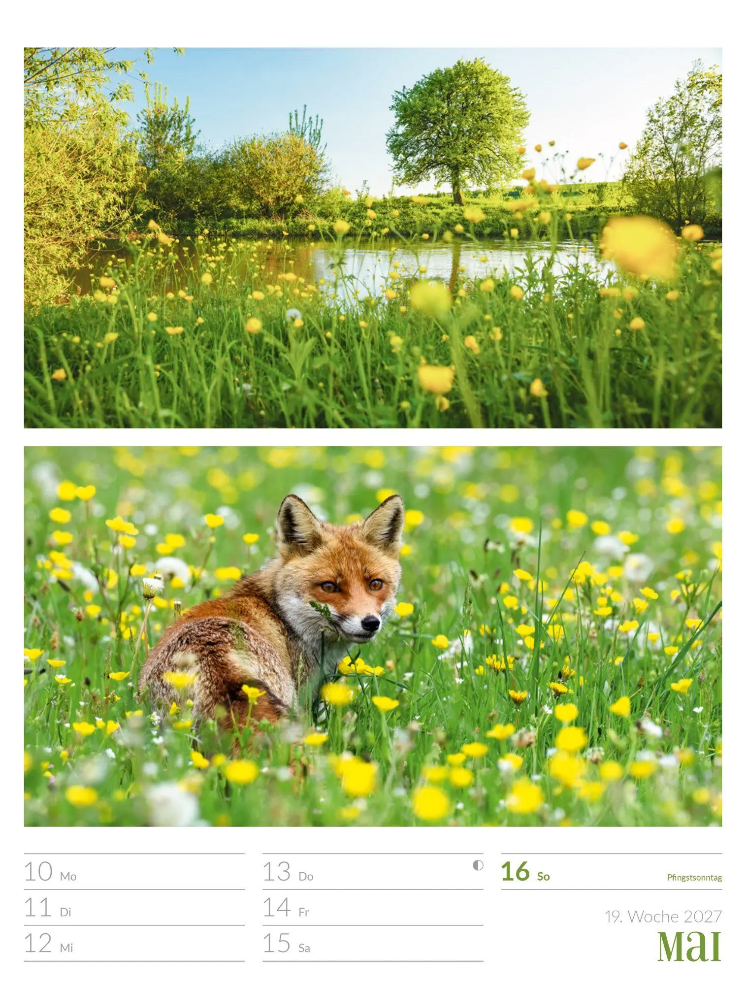 Bild: 9783838427942 | Farben der Natur Wochenplaner Kalender 2027 | GmbH | Kalender | 56 S.