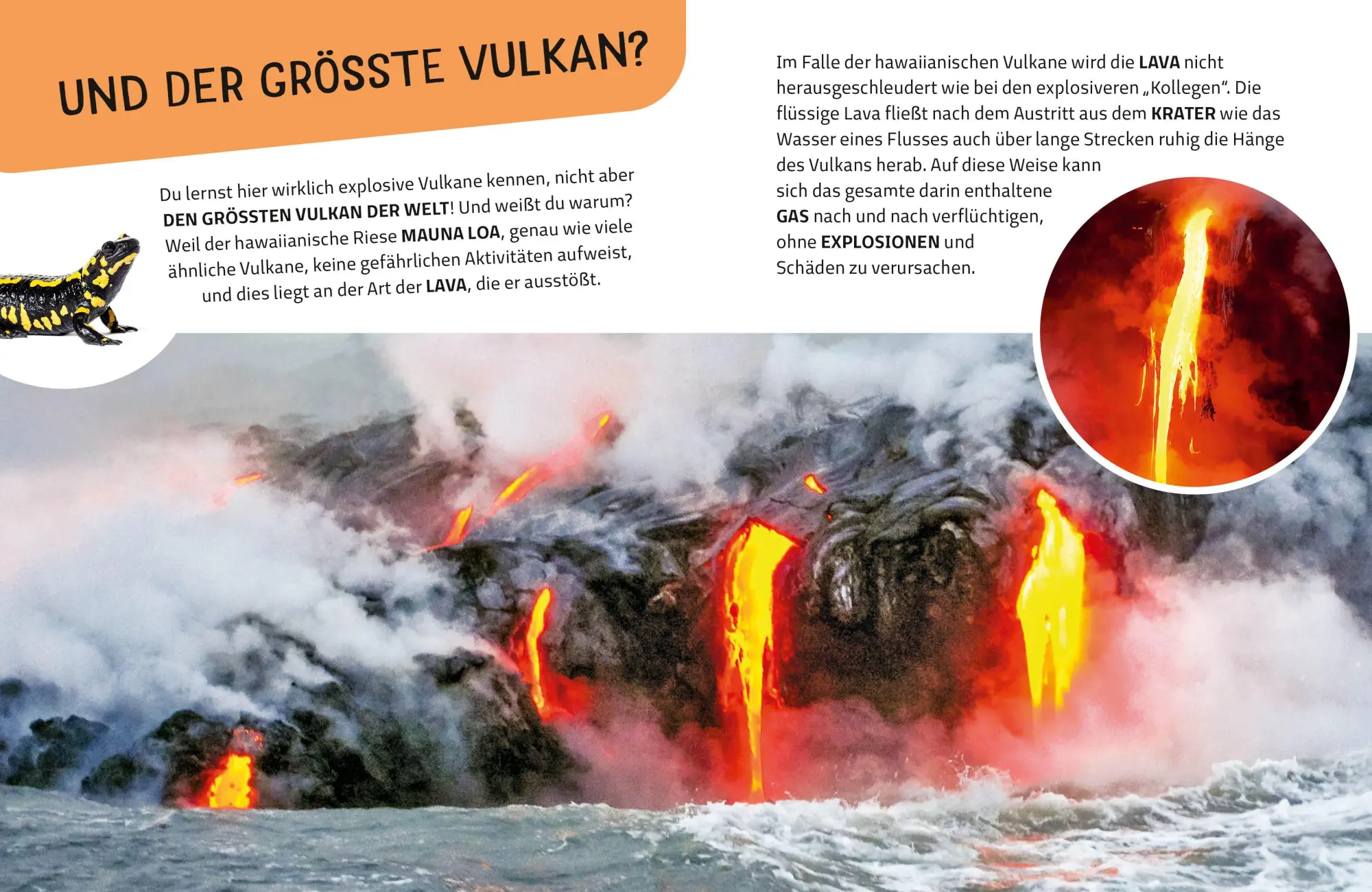 Bild: 9788863127942 | Top Ten die explosivsten Vulkane | Claudia Theis-Passaro | Buch | 2026