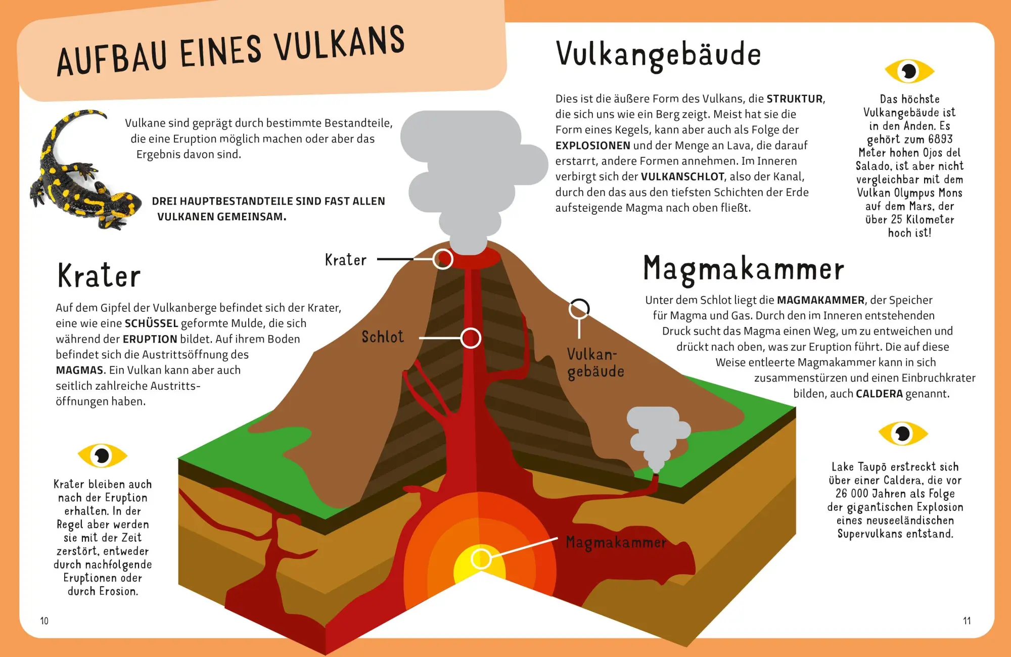 Bild: 9788863127942 | Top Ten die explosivsten Vulkane | Claudia Theis-Passaro | Buch | 2026