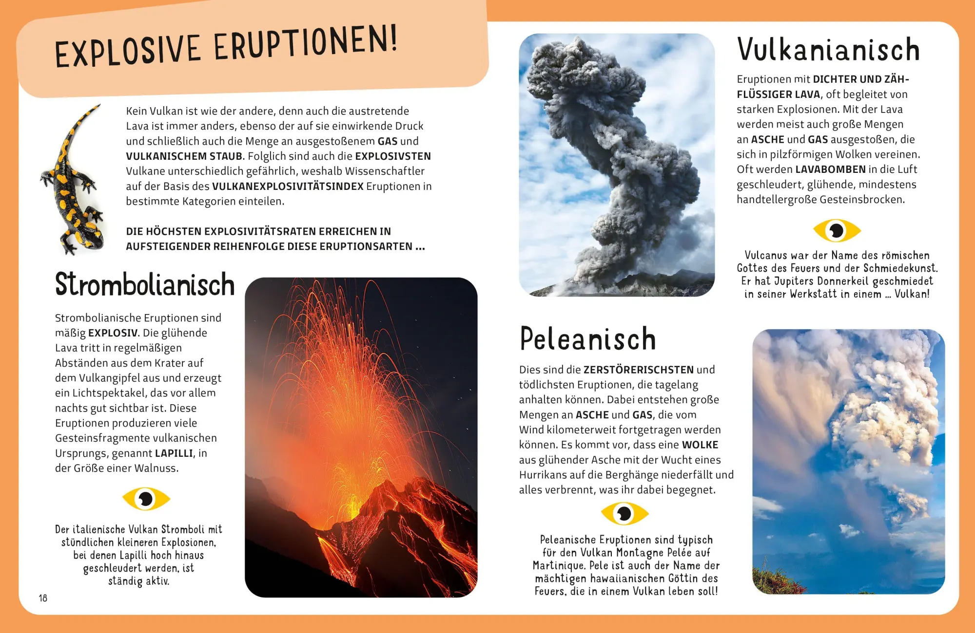 Bild: 9788863127942 | Top Ten die explosivsten Vulkane | Claudia Theis-Passaro | Buch | 2026