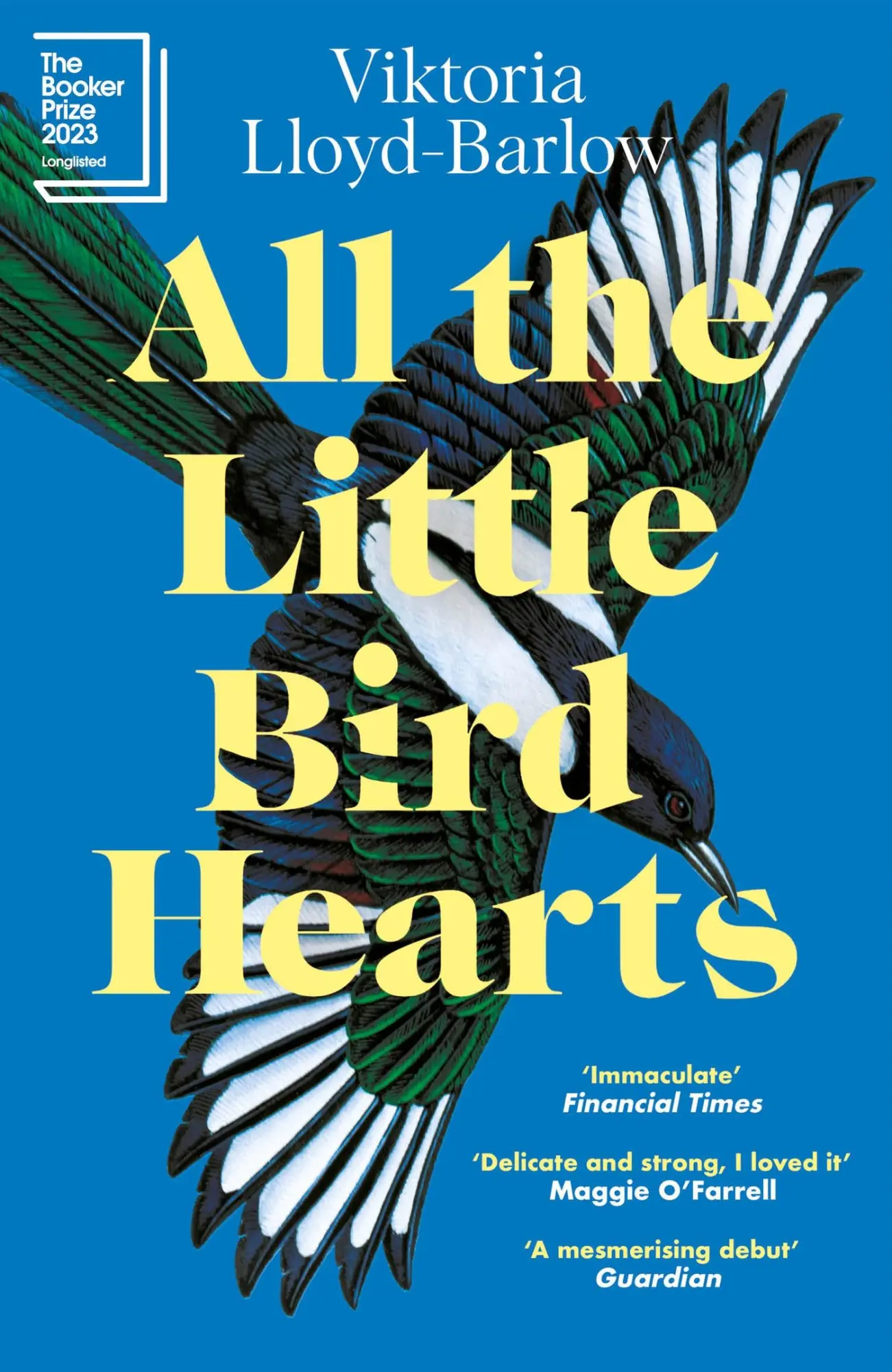 Cover: 9781472288042 | All the Little Bird-Hearts | Longlisted for the Booker Prize 2023