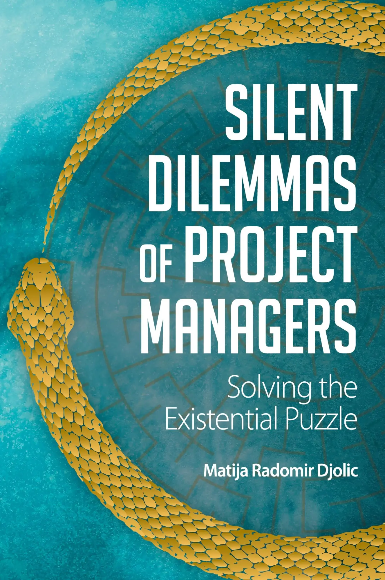 Cover: 9781805398042 | Silent Dilemmas of Project Managers | Solving the Existential Puzzle