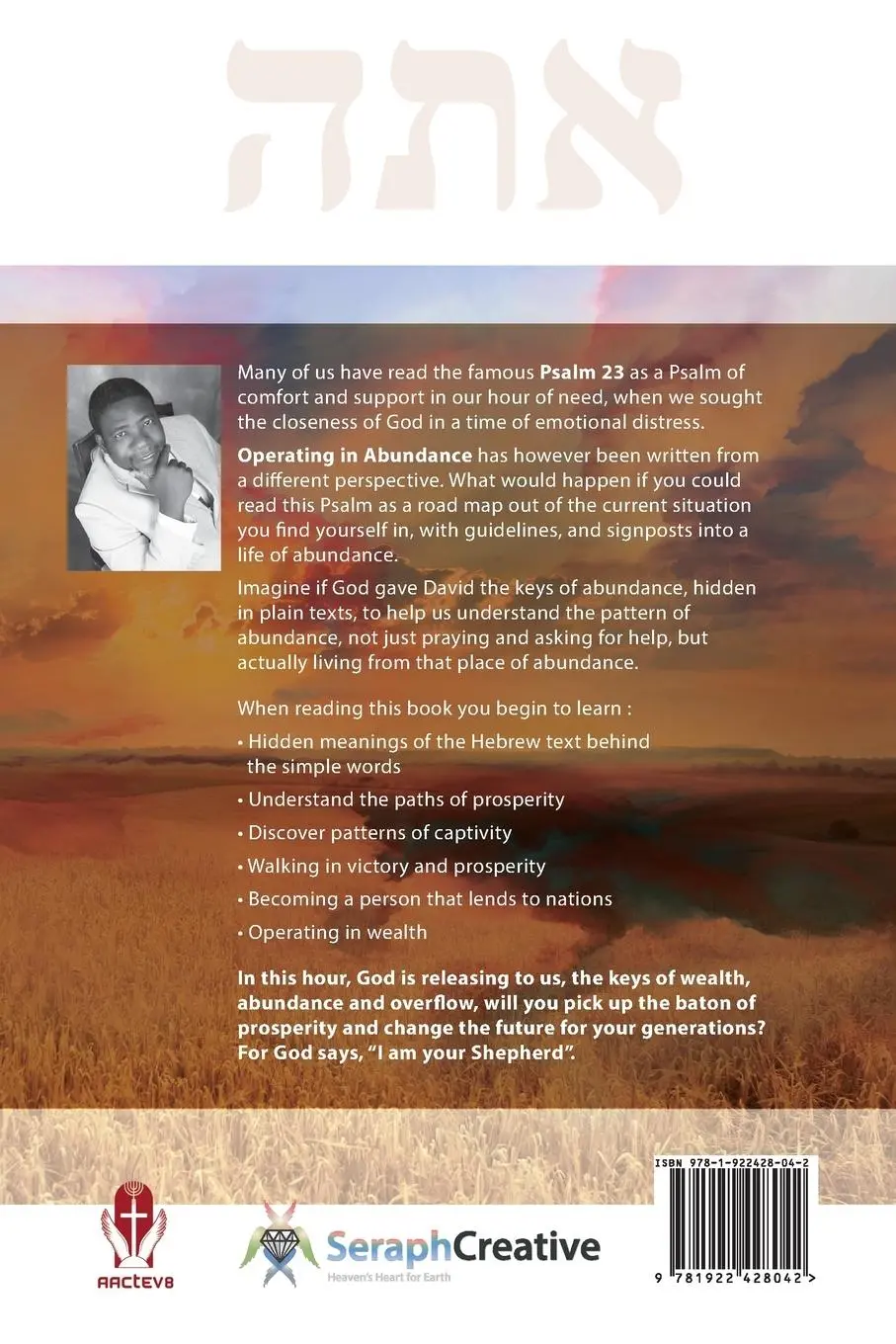Rückseite: 9781922428042 | Operating in Abundance | Adonijah Ogbonnaya | Taschenbuch | Englisch
