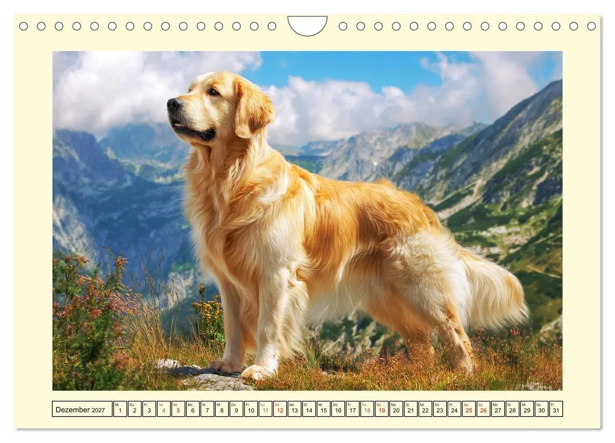 Bild: 9783516948042 | Golden Retriever. Treue Seelenhunde in der Bergwelt (Wandkalender...