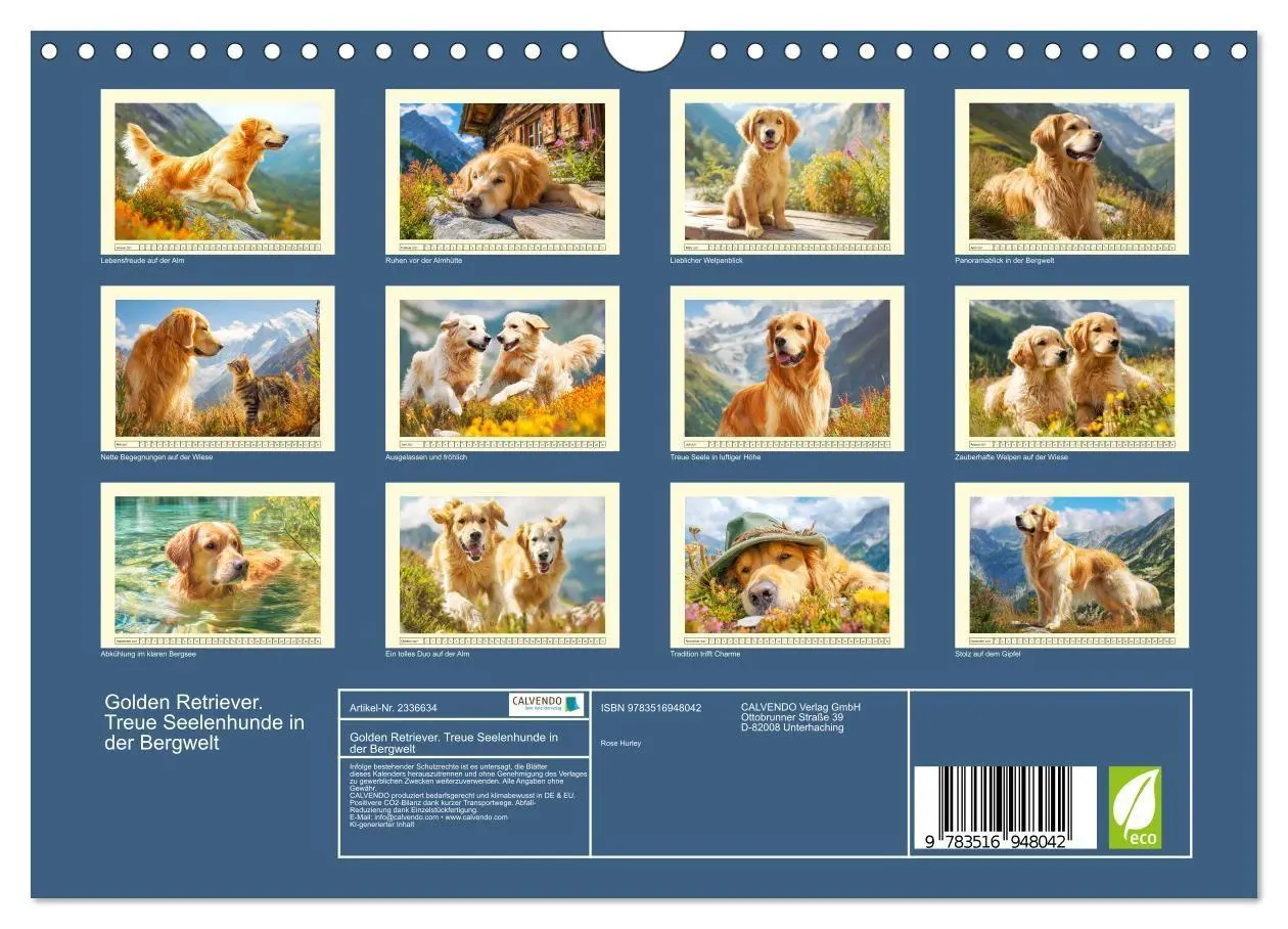 Bild: 9783516948042 | Golden Retriever. Treue Seelenhunde in der Bergwelt (Wandkalender...