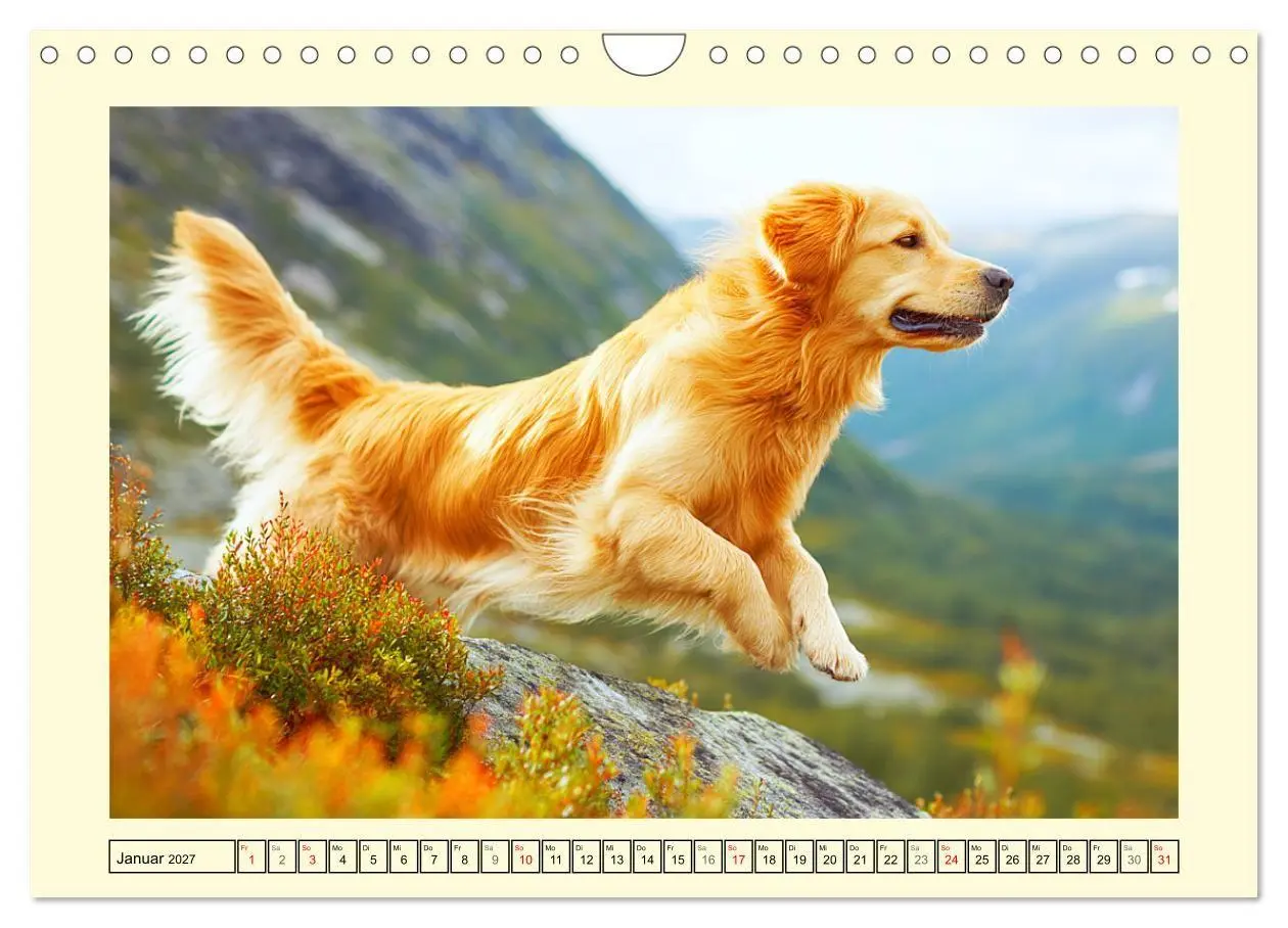 Bild: 9783516948042 | Golden Retriever. Treue Seelenhunde in der Bergwelt (Wandkalender...