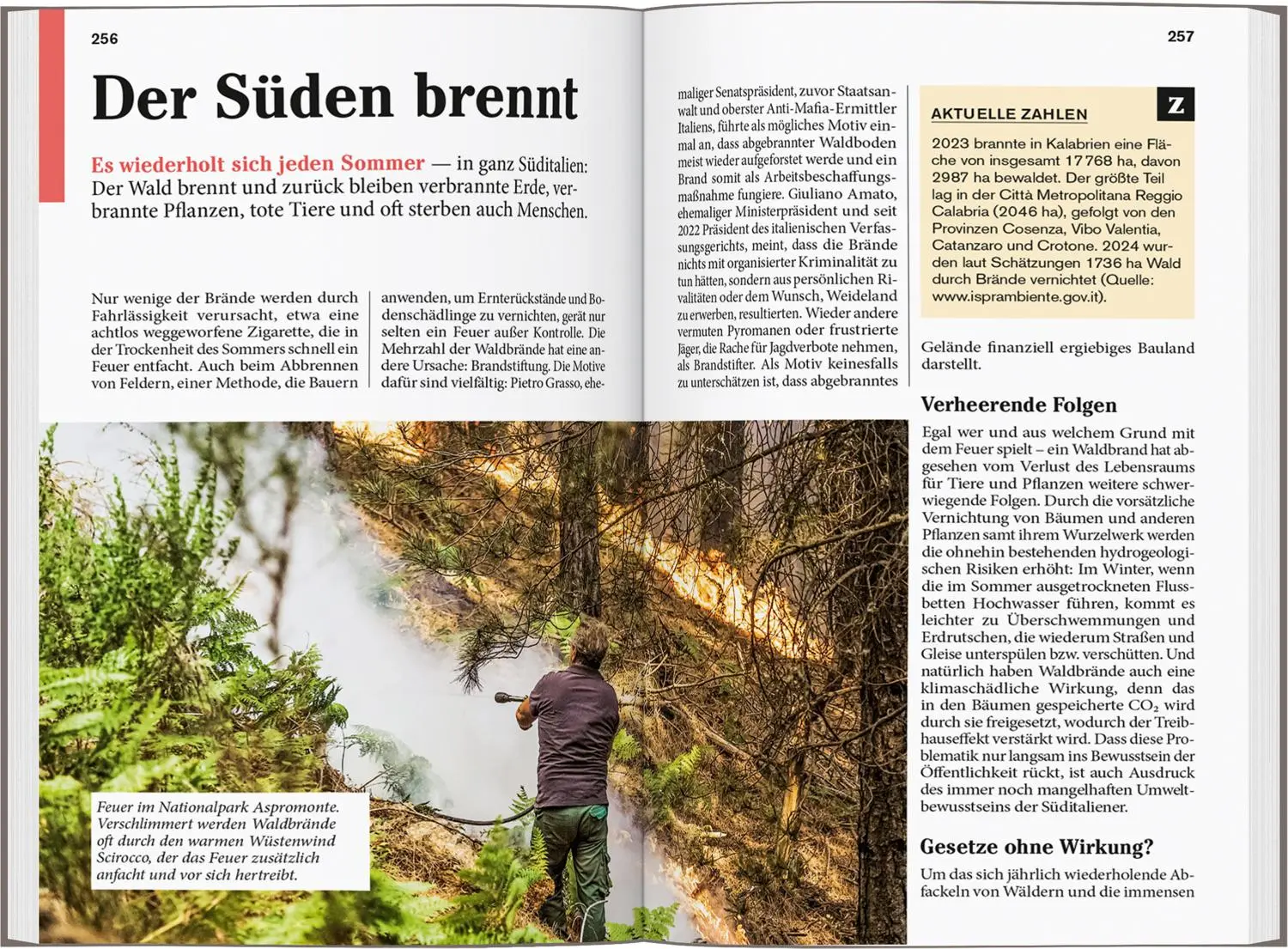 Bild: 9783616008042 | DUMONT Reise-Taschenbuch Reiseführer Kalabrien | Ilona Witten | Buch