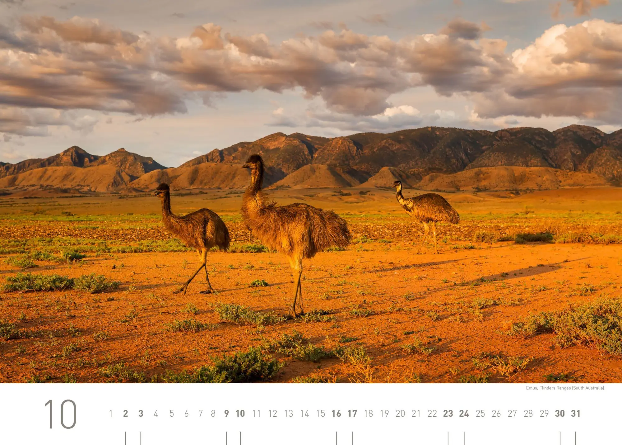 Bild: 9783968558042 | Australien Exklusivkalender 2027 | Limited Edition (70 x 50 cm) | 2027