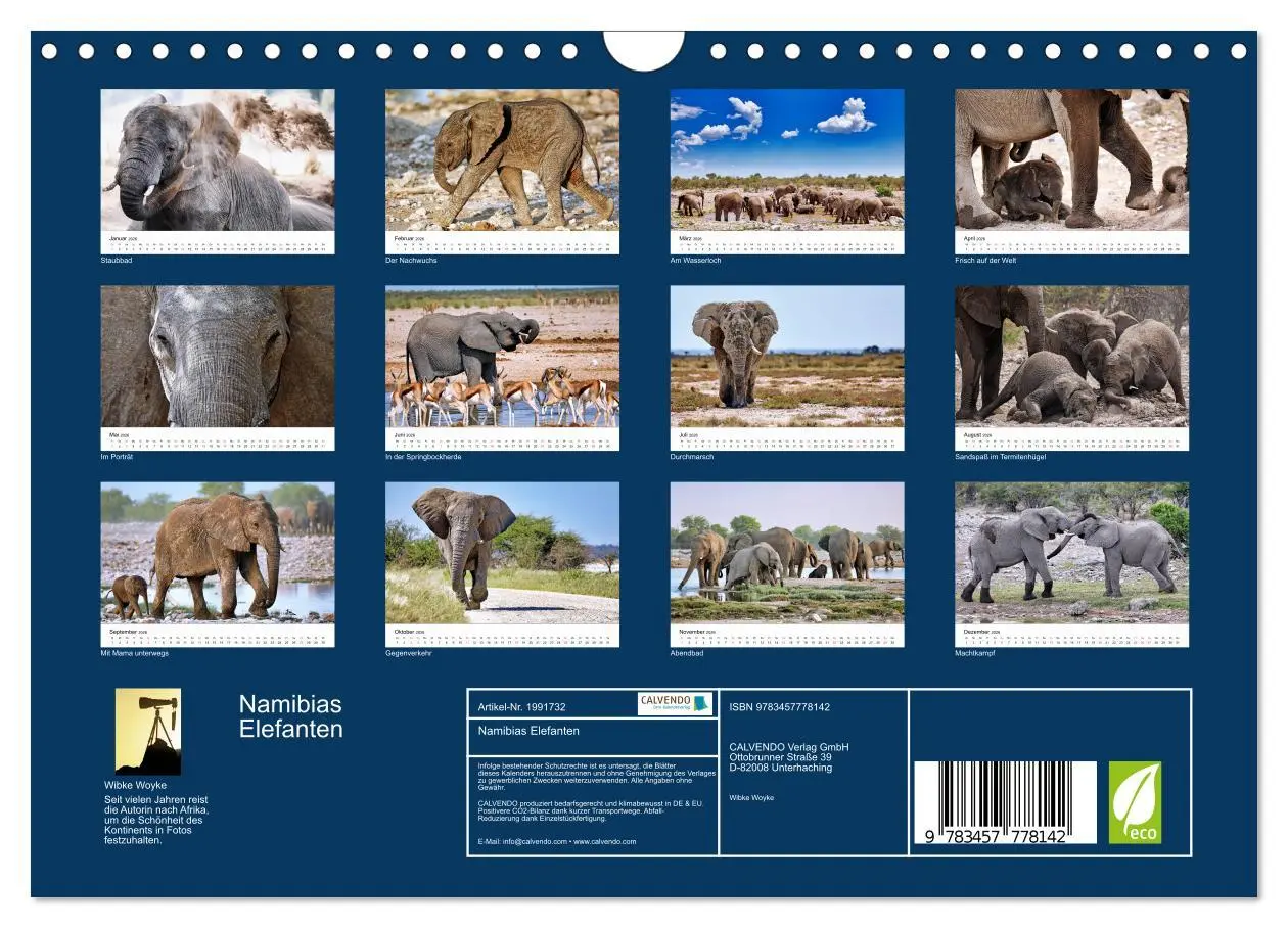Bild: 9783457778142 | Namibias Elefanten (Wandkalender 2026 DIN A4 quer), CALVENDO...