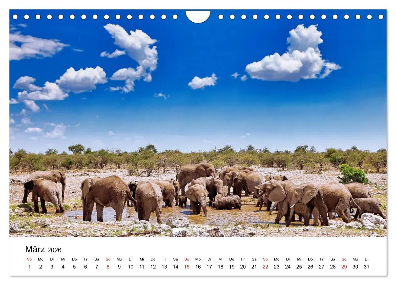 Bild: 9783457778142 | Namibias Elefanten (Wandkalender 2026 DIN A4 quer), CALVENDO...