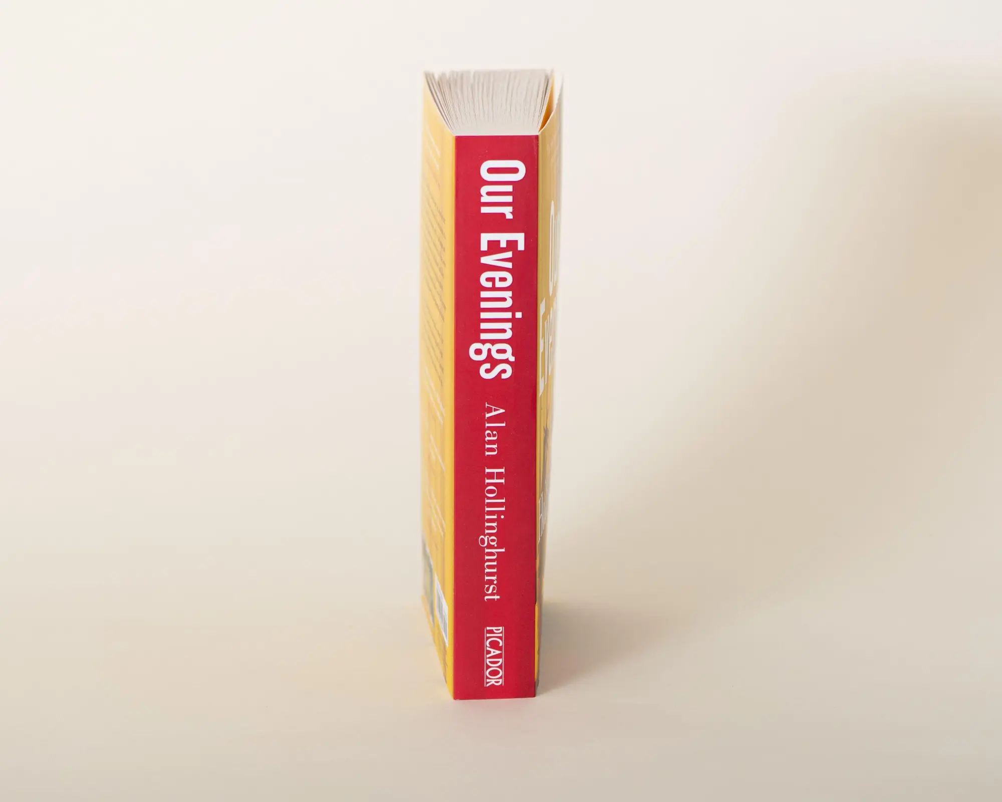 Bild: 9781447208242 | Our Evenings | Alan Hollinghurst | Taschenbuch | 496 S. | Englisch