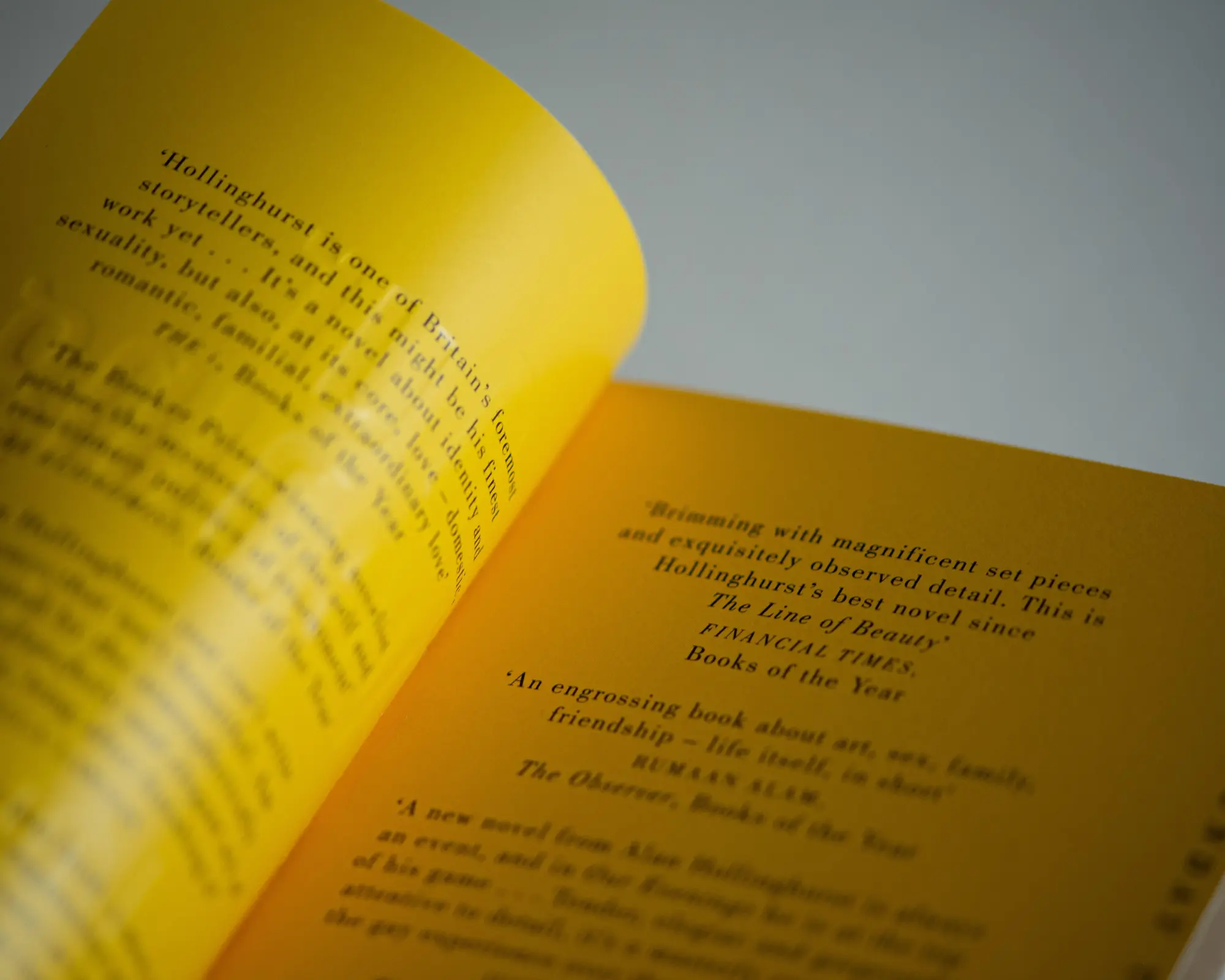 Bild: 9781447208242 | Our Evenings | Alan Hollinghurst | Taschenbuch | 496 S. | Englisch