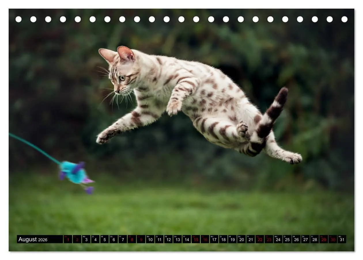 Bild: 9783457838242 | Bengalen Outdoor und Action (Tischkalender 2026 DIN A5 quer),...