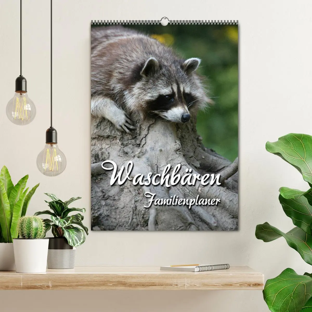 Bild: 9783516478242 | Waschbären Familienplaner (Wandkalender 2026 DIN A2 hoch), CALVENDO...