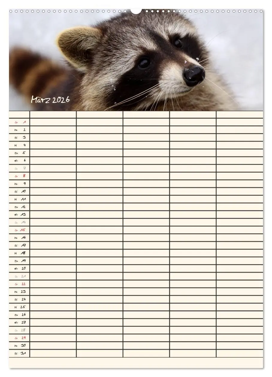 Bild: 9783516478242 | Waschbären Familienplaner (Wandkalender 2026 DIN A2 hoch), CALVENDO...