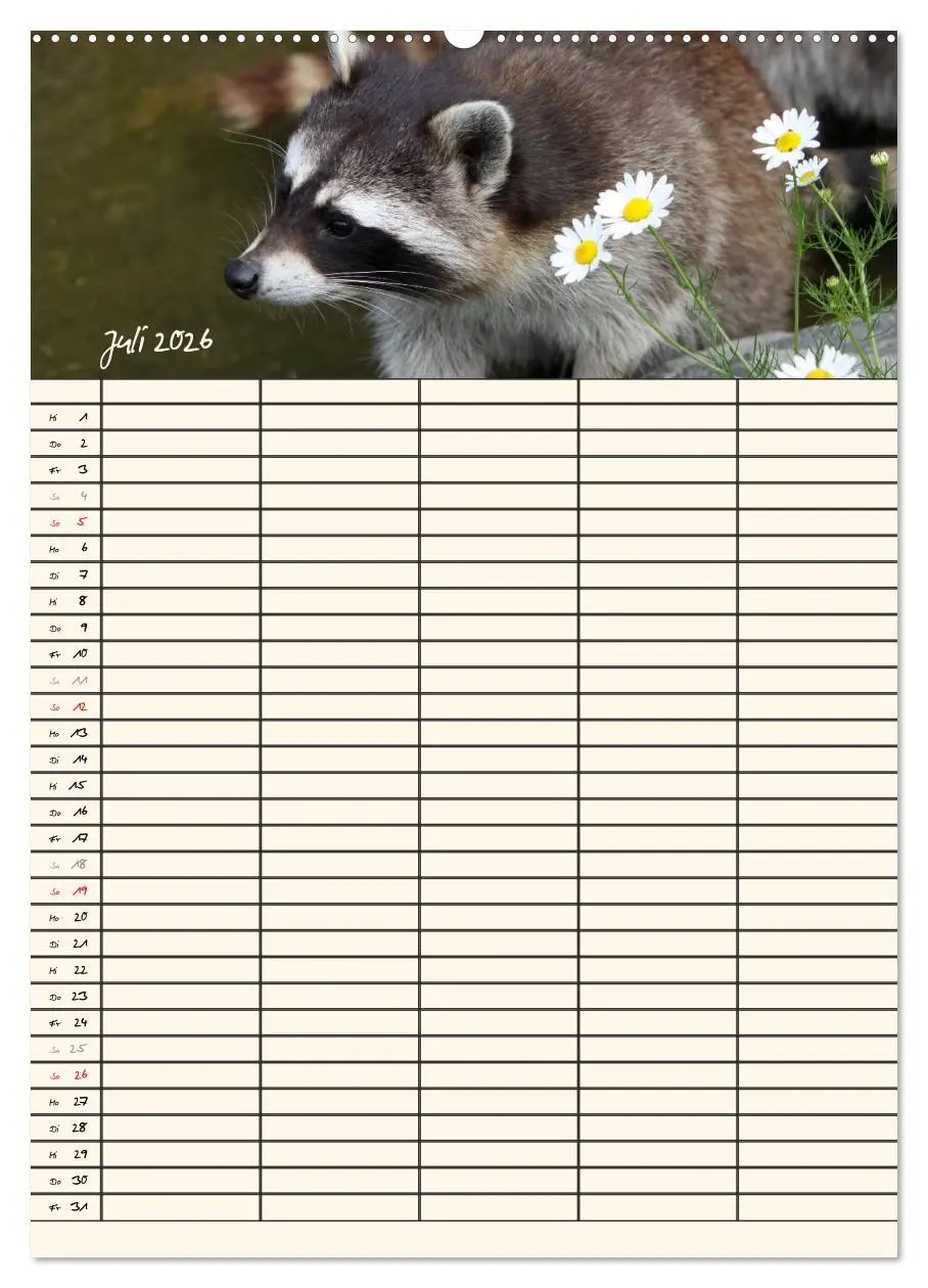 Bild: 9783516478242 | Waschbären Familienplaner (Wandkalender 2026 DIN A2 hoch), CALVENDO...