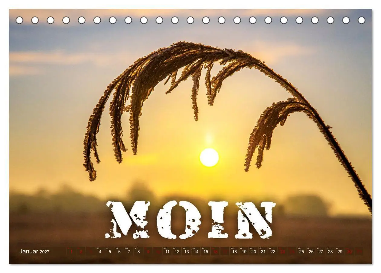 Bild: 9783569498242 | Sehnsucht zum Meer (Tischkalender 2027 DIN A5 quer), CALVENDO...
