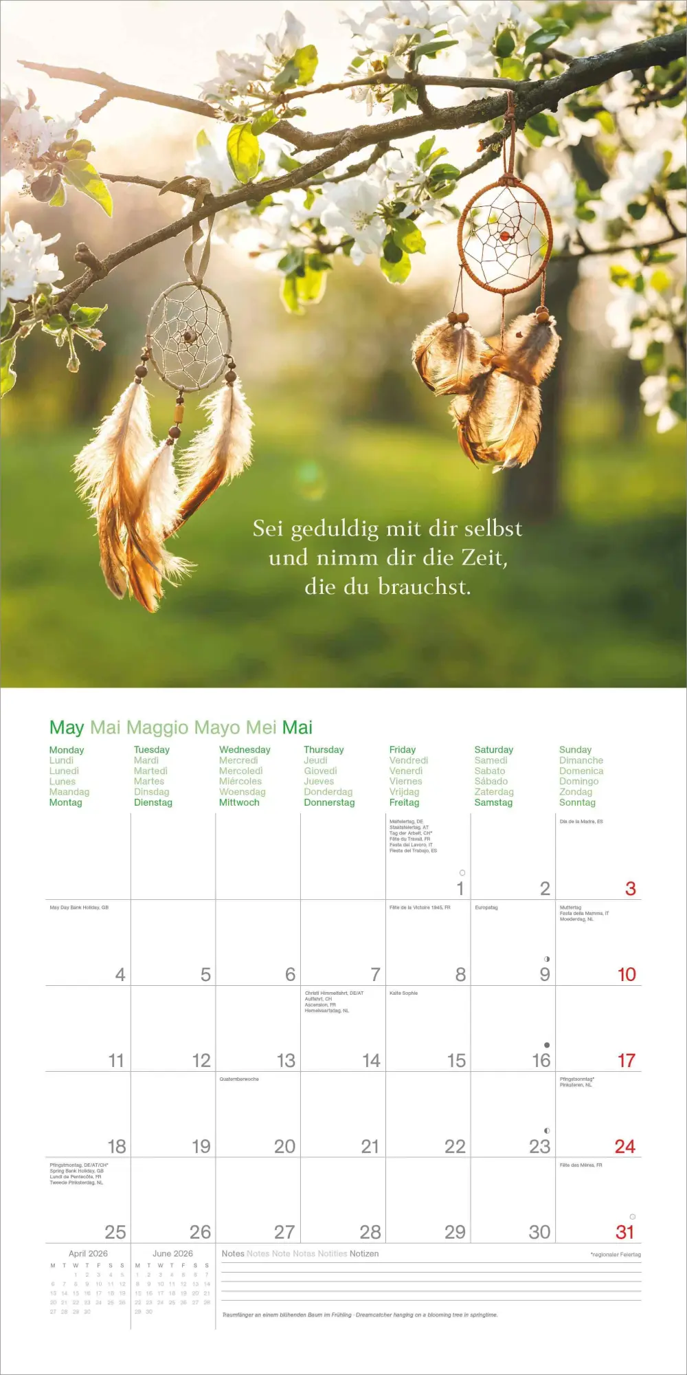Bild: 4069095008342 | Augenblicke für Dich - Broschürenkalender im Format 30 x 30 | Kalender
