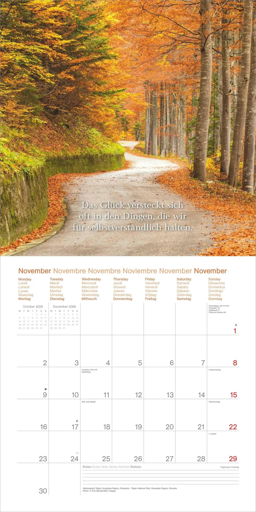 Bild: 4069095008342 | Augenblicke für Dich - Broschürenkalender im Format 30 x 30 | Kalender