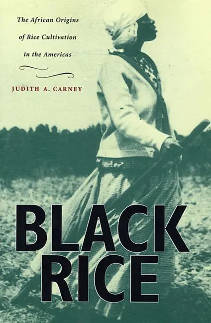 Cover: 9780674008342 | Black Rice | The African Origins of Rice Cultivation in the Americas