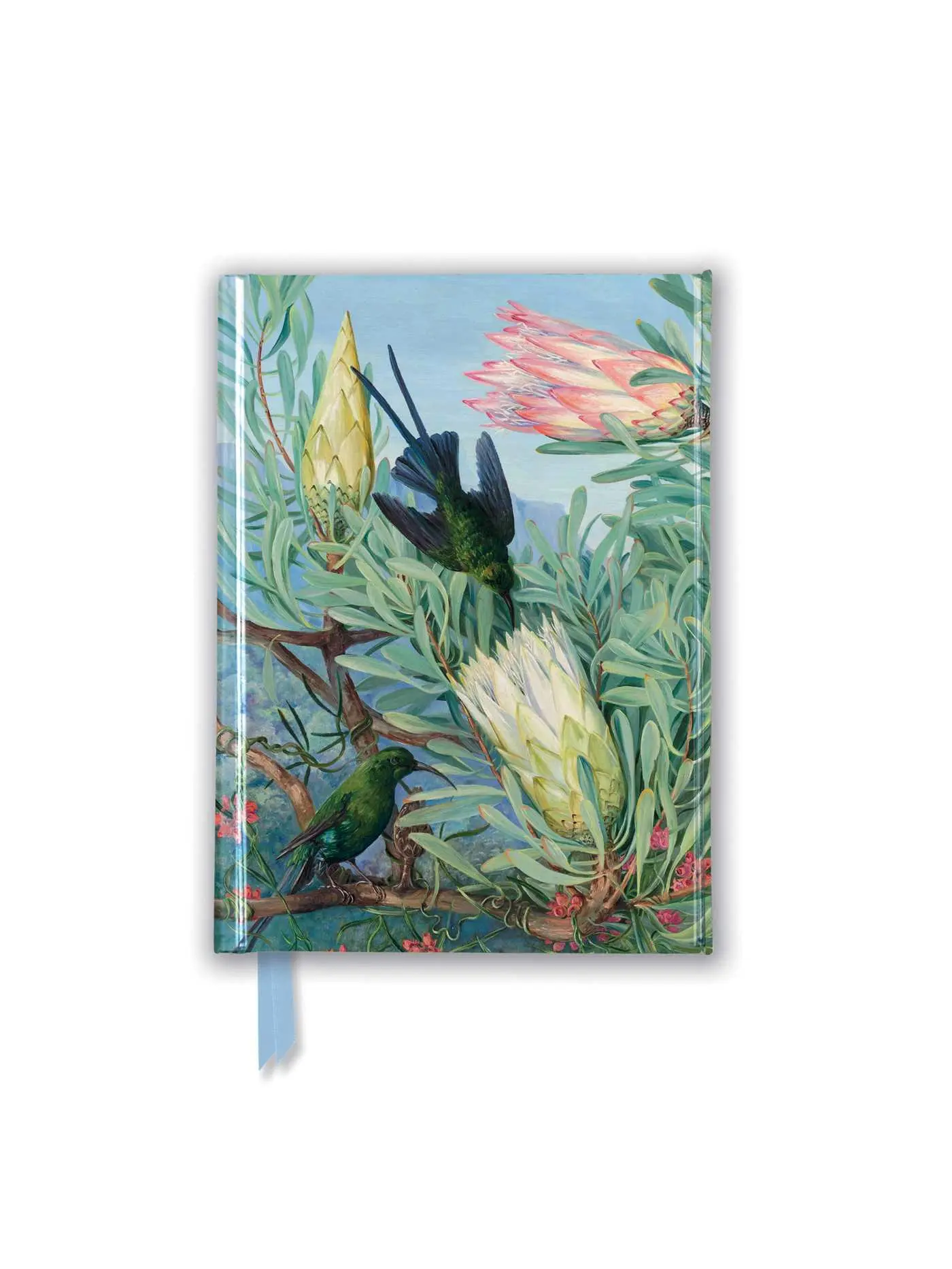 Cover: 9781787558342 | Kew Gardens' Marianne North: Honeyflowers and Honeysuckers (Foiled...