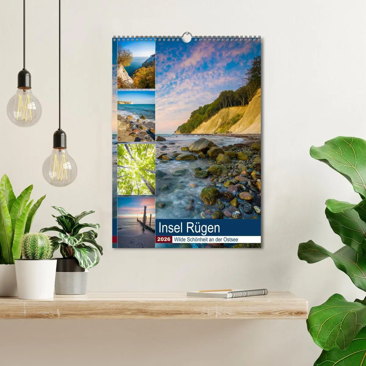 Bild: 9783516398342 | Insel Rügen - Wilde Schönheit an der Ostsee (Wandkalender 2026 DIN...