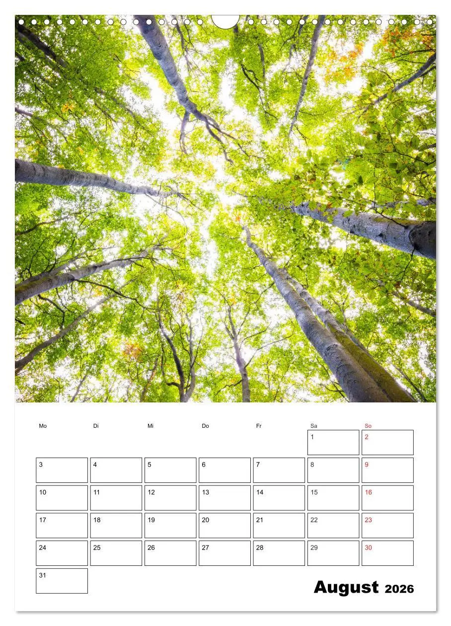 Bild: 9783516398342 | Insel Rügen - Wilde Schönheit an der Ostsee (Wandkalender 2026 DIN...