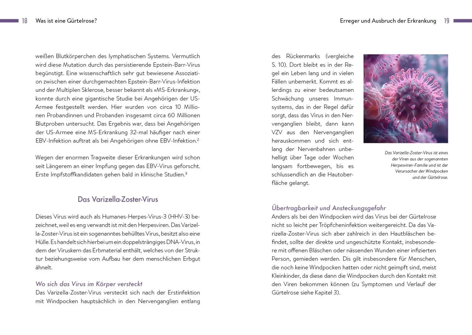 Bild: 9783742328342 | Gürtelrose | Georg Friese | Taschenbuch | 144 S. | Deutsch | 2025