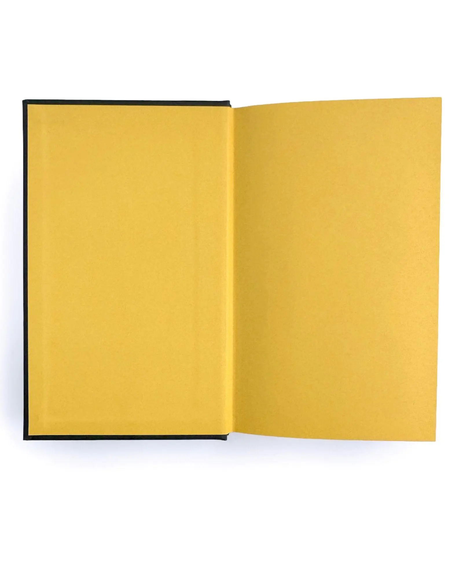 Bild: 9781682818442 | Stitched Empyrean Journal | I Am Infinite Edition | Rebecca Yarros
