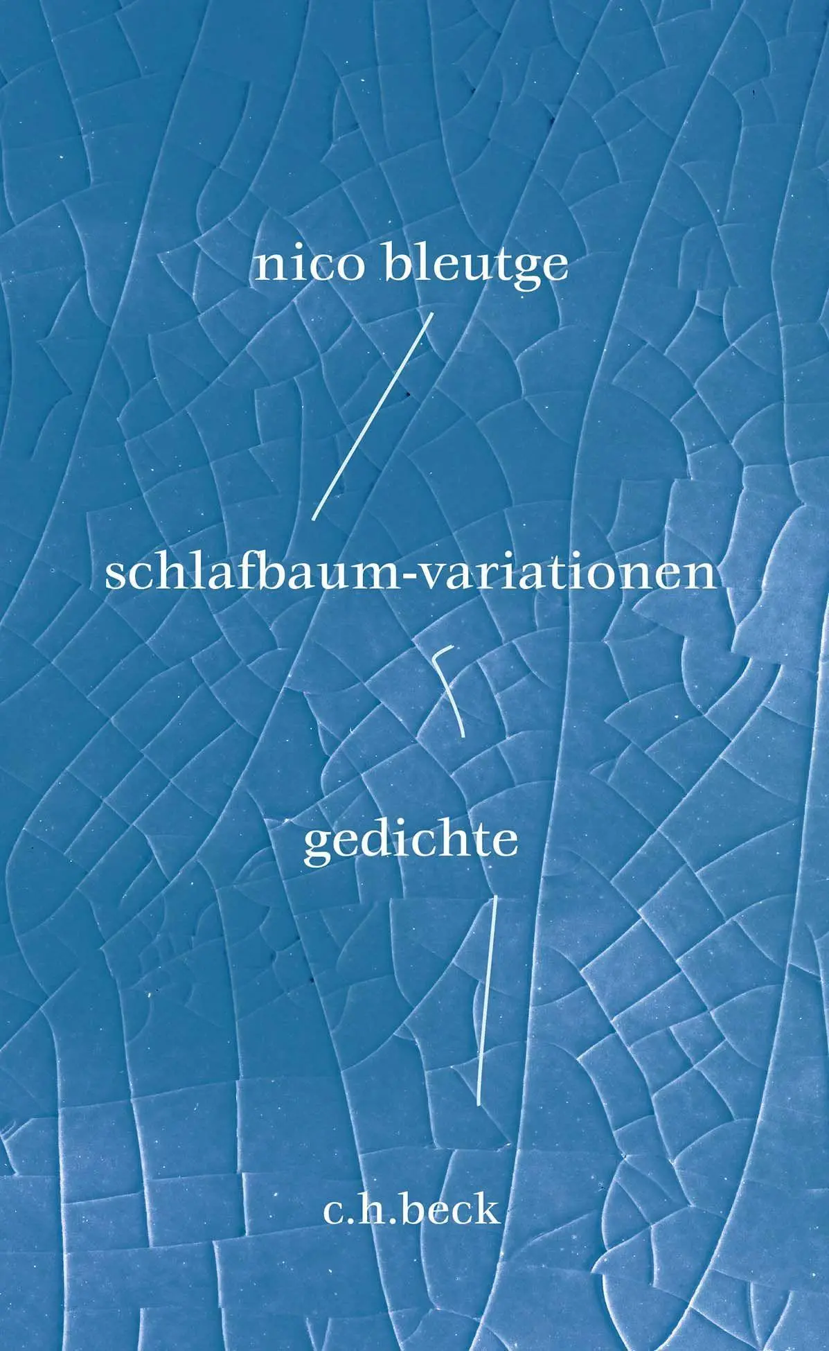 Cover: 9783406798542 | schlafbaum-variationen | gedichte | Nico Bleutge | Buch | 117 S.